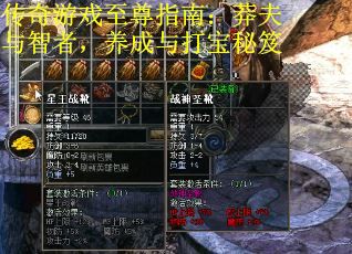 传奇游戏至尊指南：莽夫与智者，养成与打宝秘笈