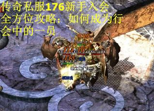 传奇私服176新手入会全方位攻略：如何成为行会中的一员