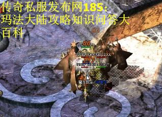 传奇私服发布网185：玛法大陆攻略知识问答大百科