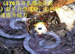 《176传奇私服金币版》新手升级攻略：如何快速提升战力