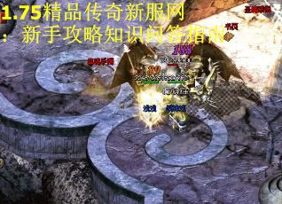 1.75精品传奇新服网：新手攻略知识问答指南