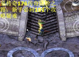 品传奇176传奇进阶之路：新手必问101个攻略疑难