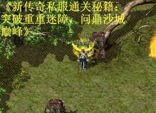 《新传奇私服通关秘籍：突破重重迷障，问鼎沙城巅峰》