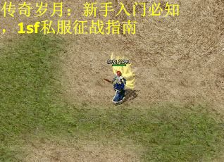 传奇岁月：新手入门必知，1sf私服征战指南
