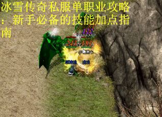 冰雪传奇私服单职业攻略：新手必备的技能加点指南