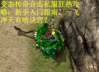 变态传奇合击私服狂热攻略：新手入门指南，一飞冲天有啥诀窍？ 第2张