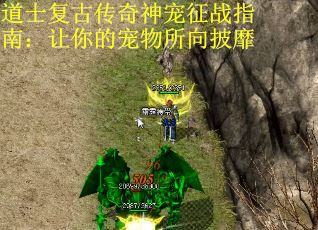 道士复古传奇神宠征战指南：让你的宠物所向披靡