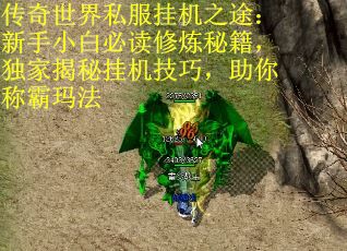 传奇世界私服挂机之途：新手小白必读修炼秘籍，独家揭秘挂机技巧，助你称霸玛法