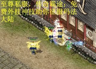 至尊私服，传奇霸途：免费外挂神技助你征服玛法大陆