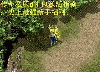 传奇私服d礼包激活指南：史上最强新手福利