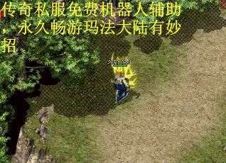 传奇私服免费机器人辅助，永久畅游玛法大陆有妙招