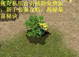 传奇私服合击辅助免费版：新手必备攻略，揭秘暴富秘诀