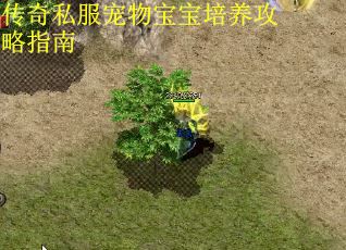 传奇私服宠物宝宝培养攻略指南 第2张