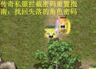 传奇私服拦截密码重置指南：找回失落的角色密码