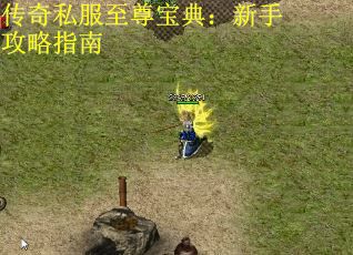 传奇私服至尊宝典：新手攻略指南