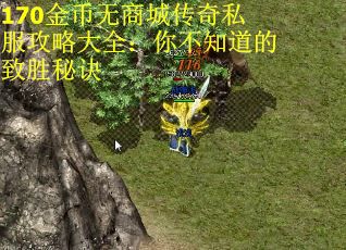 170金币无商城传奇私服攻略大全：你不知道的致胜秘诀