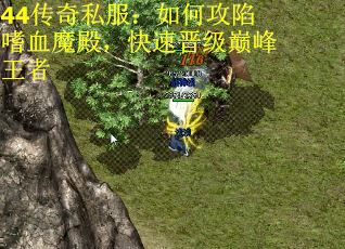 44传奇私服：如何攻陷嗜血魔殿，快速晋级巅峰王者