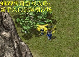 9377传奇游戏攻略：新手入门到纵横沙场