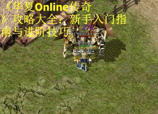 《华夏Online传奇》攻略大全：新手入门指南与进阶技巧