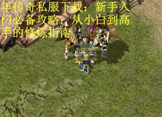 年传奇私服下载：新手入门必备攻略：从小白到高手的修炼指南