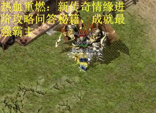 热血重燃：新传奇情缘进阶攻略问答秘籍，成就最强霸主