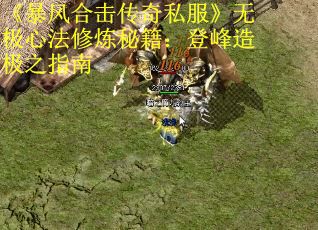 《暴风合击传奇私服》无极心法修炼秘籍：登峰造极之指南