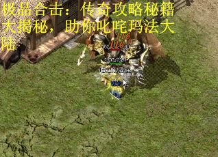 极品合击：传奇攻略秘籍大揭秘，助你叱咤玛法大陆