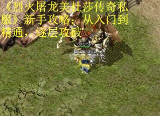《烈火屠龙美杜莎传奇私服》新手攻略：从入门到精通，逐层攻破