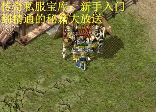 传奇私服宝库：新手入门到精通的秘籍大放送