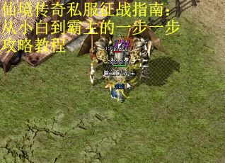 仙境传奇私服征战指南：从小白到霸主的一步一步攻略教程 第2张