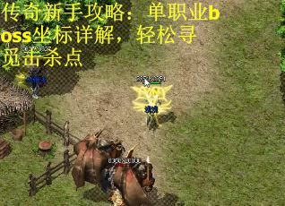 传奇新手攻略：单职业boss坐标详解，轻松寻觅击杀点
