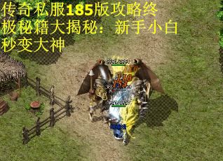 传奇私服185版攻略终极秘籍大揭秘：新手小白秒变大神