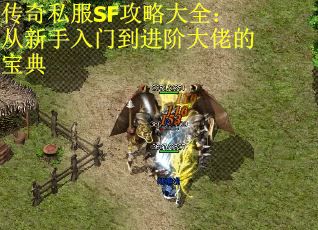 传奇私服SF攻略大全：从新手入门到进阶大佬的宝典