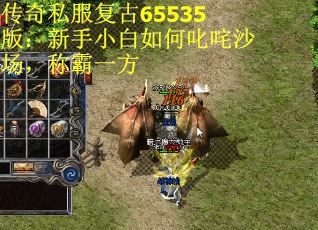 传奇私服复古65535版：新手小白如何叱咤沙场，称霸一方