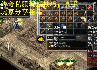 传奇私服玩法技巧：高手玩家分享秘籍 第2张