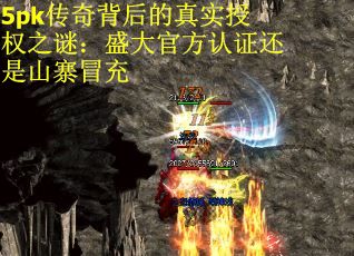 5pk传奇背后的真实授权之谜：盛大官方认证还是山寨冒充