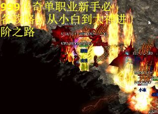 999传奇单职业新手必备攻略：从小白到大神进阶之路
