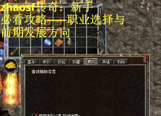 zhaosf传奇：新手必看攻略——职业选择与前期发展方向 第3张