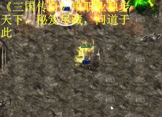 《三国传奇》单职业独步天下，秘笈尽藏，问道于此