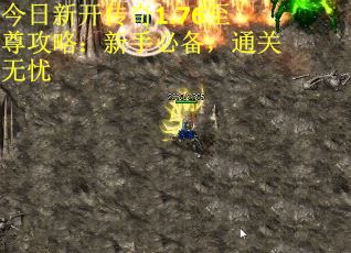今日新开传奇1.76至尊攻略：新手必备，通关无忧