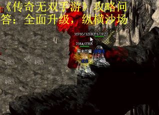 《传奇无双手游》攻略问答：全面升级，纵横沙场