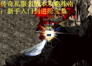 传奇私服多版本攻略指南：新手入门到进阶宝典