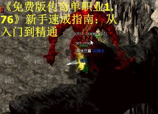 《免费版传奇单职业1.76》新手速成指南：从入门到精通 第2张