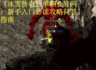 《冰雪传奇》单职业官网：新手入门必读攻略问答指南