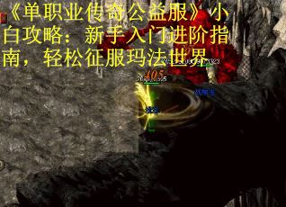 《单职业传奇公益服》小白攻略：新手入门进阶指南，轻松征服玛法世界