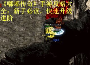 《嘟嘟传奇》手游攻略大全：新手必读，快速升级进阶