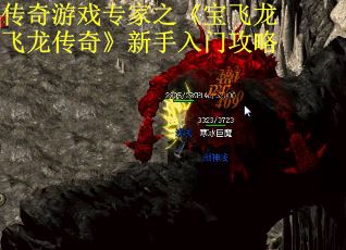 传奇游戏专家之《宝飞龙飞龙传奇》新手入门攻略