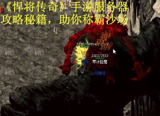 《悍将传奇》手游服务器攻略秘籍，助你称霸沙场