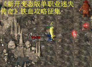 《新开变态版单职业迷失传奇》铁血攻略征集
