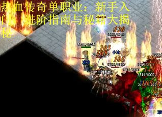 热血传奇单职业：新手入门，进阶指南与秘籍大揭秘